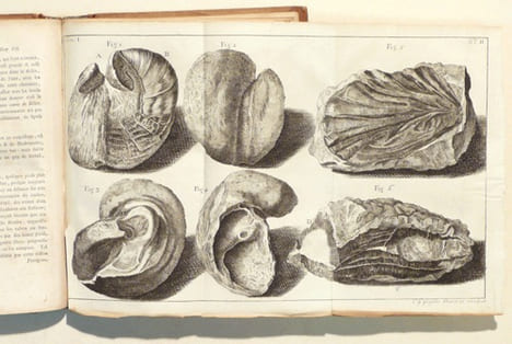 VOYAGES DANS LES ALPES, précédés d'un essai sur l'histoire naturelle des environs de Genève. TOME I.. SAUSSURE (Horace-Bénedict de).