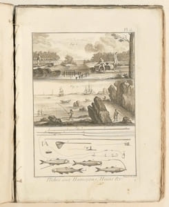 RECUEIL DE PLANCHES DE L'ENCYCLOPÉDIE. PLANCHES DES PÊCHES. Explication de Cent Trente-Deux Planches des Pêches, à cause de Dix-Huit doubles. Concernant : I°. les Pêches aux Hameçons, Haims, &c. ; 2°. différentes sortes de Pêches ; 3°. les Pêches aux filets ; 4°. les Pêches de mer, de rivières, y compris les tableaux & vues relativement aux Pêches, &c.