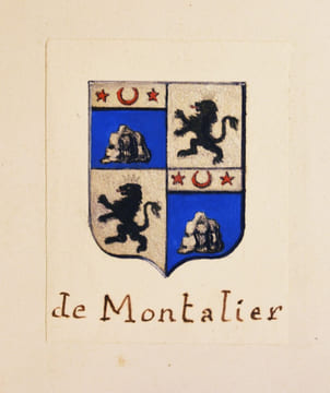 NOBILIAIRE DE GUIENNE ET DE GASCOGNE. Revue des familles d'ancienne chevalerie ou anoblies de ces provinces, antérieures à 1789, avec leurs ...