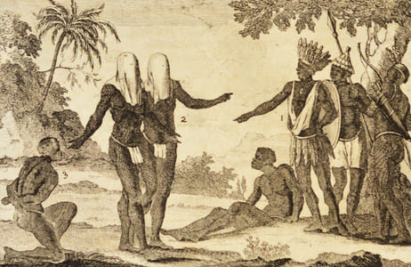 LE COMMERCE DE L'AMÉRIQUE PAR MARSEILLE, ou Explication des Lettres-Patentes du Roi, portant Reglement pour le Commerce qui se fait de Marseille aux Isles Françoises de l'Amérique, données au mois de Février 1719. Et des Lettres-Patentes du Roi, pour la liberté du Commerce à la Côte de Guinée, données à Paris au mois de Janvier 1716. Avec les Reglemens que ledit commerce a occasionnés, par un citadin*. [2 VOLUMES].
