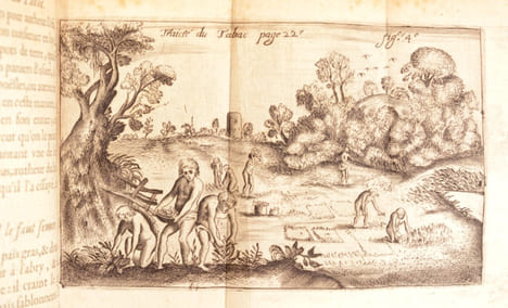 TRAICTÉ DU TABAC, ou nicotiane, panacée, petun: autrement herbe à la reyne, avec sa préparation et son usage, pour la plus part des indispositions du ...