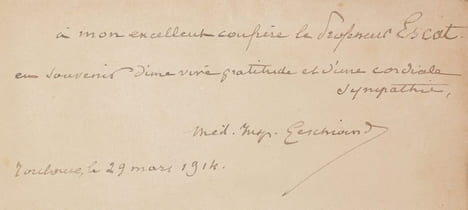 LA BATAILLE DE TOULOUSE d'après les documents les plus récents.. GESCHWIND (Dr. H.) -  GÉLIS (F. de).