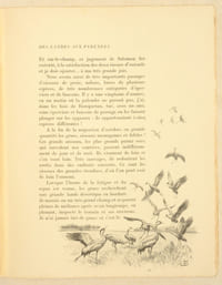 EN CHASSANT DES LANDES AUX PYRÉNÉES. Illustrations de J. Oberthür.