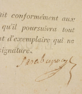 OBSERVATIONS SUR LA NATURE ET LES EFFETS DES EAUX MINÉRALES DE BAGNÈRES-ADOUR, département des Hautes-Pyrénées ; suivies de la Description des ...