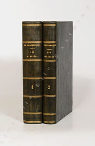 LES PYRÉNÉES ou Voyages pédestres dans toutes les régions de ces montagnes depuis l'océan jusqu'à la Méditerranée, avec une carte et quelques vues des Pyrénées. [2 volumes].
