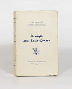 IL NEIGE AUX EAUX-BONNES. 