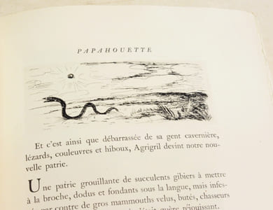 PAPAHOUETTE. Avec des eaux-fortes de l'auteur.