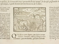 L'OPERE DI VIRGILIO MANTOANO. Cioe la Bucolica, la Georgica, e l'Eneide. Commentate in Lingua Volgare Toscana, da Giovanni Fabrini da Fighine, da Carlo Malatesta da Rimene, & da Filippo Venuti da Cortona. [...] Nuovamente ornate di vaghe & bellissime Figure.