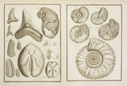 DESCRIPTION GÉNÉRALE ET PARTICULIÈRE DE LA FRANCE ; ouvrage enrichi d'estampes d'après les Dessins des plus célèbres Artistes. Département du Rhône. Gouvernement de Bourgogne. - Département du Rhône. Gouvernement de Dauphiné. [2 volumes]. par LABORDE (Jean-Benjamin de) - GUETTARD (Jean-E.) - BÉGUILLET (M.). - Image 4