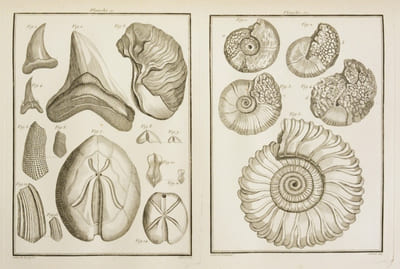 DESCRIPTION GÉNÉRALE ET PARTICULIÈRE DE LA FRANCE ; ouvrage enrichi d'estampes d'après les Dessins des plus célèbres Artistes. Département du Rhône. Gouvernement de Bourgogne. - Département du Rhône. Gouvernement de Dauphiné. [2 volumes].