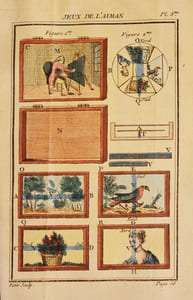 NOUVELLES RÉCRÉATIONS PHYSIQUES ET MATHÉMATIQUES, contenant toutes celles qui ont été découvertes & imaginées dans ces derniers temps, sur l'Aiman, les Nombres, l'Optique, la Chymie, &c. & quantité d'autres qui n'ont jamais été rendues publiques. Où l'on a joint leurs causes, leurs effets, la manière de les construire, & l'amusement qu'on peut en tirer pour étonner agréablement. [Quatre tomes en deux volumes].
