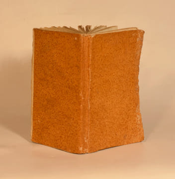 TRAITÉ DE L'AMÉNAGEMENT DES BOIS ET FORÊTS appartenant à l'Empire, aux Communes, aux Etablissemens publics et aux Particuliers ; ouvrage terminé par ...