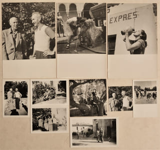 ENSEMBLE DE 10 PHOTOGRAPHIES DE DENISE BELLON. 
