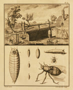 MÉMOIRES DE PHYSIQUE SUR L'ART DE FABRIQUER LE FER, d'en fondre & forger des canons d'artillerie ; sur l'histoire naturelle, et sur divers sujets particuliers de physique et d'économie : avec une Table analytique des matières en form de Dictionnaire, pour servir à l'intelligence des termes techniques. par GRIGNON (Pierre-Clément). - Image 4