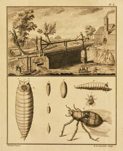 MÉMOIRES DE PHYSIQUE SUR L'ART DE FABRIQUER LE FER, d'en fondre & forger des canons d'artillerie ; sur l'histoire naturelle, et sur divers sujets particuliers de physique et d'économie : avec une Table analytique des matières en form de Dictionnaire, pour servir à l'intelligence des termes techniques.