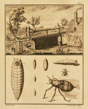 MÉMOIRES DE PHYSIQUE SUR L'ART DE FABRIQUER LE FER, d'en fondre & forger des canons d'artillerie ; sur l'histoire naturelle, et sur divers sujets ...