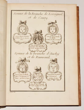 EXTRAIT DE LA GÉNÉALOGIE DE LA MAISON DE MAILLY, suivi de l’histoire de la branche des comtes de Mailly, marquis d’Haucourt, et de celle des marquis ...