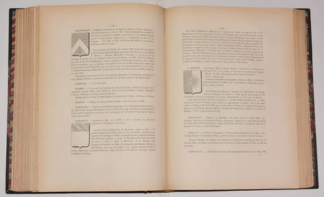 ARMORIAL HISTORIQUE DE BRESSE, BUGEY, DOMBES, PAYS DE GEX, VALROMEY ET FRANC-LYONNAIS. [ARMORIAL DE L'AIN].. RÉVÉREND DU MESNIL (Edmond).