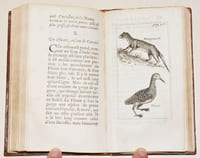 CURIOSITEZ DE LA NATURE ET DE L'ART, aportées dans deux Voyages des Indes ; l'un aux Indes d'Occident en 1698 & 1699 & l'autre aux Indes d'Orient en 1701 & 1702. Avec une relation abrégée de ces deux Voyages.