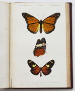 Image de livre
