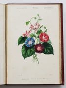 Image de livre