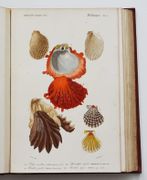 Image de livre