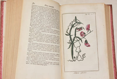FLORE NATURELLE ET ÉCONOMIQUE DES PLANTES QUI CROISSENT AUX ENVIRONS DE PARIS, au nombre de plus de quatre cents genres et de quatorze cents espèces, contenant l'énumération de ces Plantes, rangées suivant le système de Jussieu, et par ordre alphabétique ; [etc.]. [2 volumes].