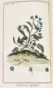 FLORE NATURELLE ET ÉCONOMIQUE DES PLANTES QUI CROISSENT AUX ENVIRONS DE PARIS, au nombre de plus de quatre cents genres et de quatorze cents espèces, ...