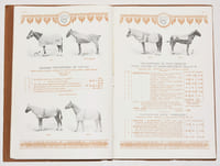 MANUFACTURE DE SELLERIE & HARNACHEMENT POUR CHEVAUX DE COURSE. F. BANDIERA fabricant breveté S. G. D. G. à Feurs (Loire).
