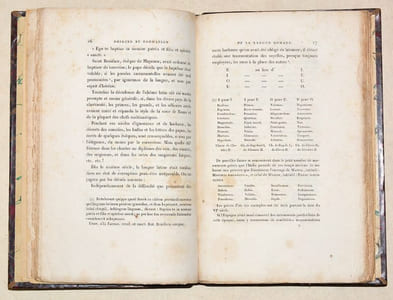 ÉLÉMENTS DE LA GRAMMAIRE DE LA LANGUE ROMANE, avant l'an 1000, précédés de recherches sur l'origine et la formation de cette langue.