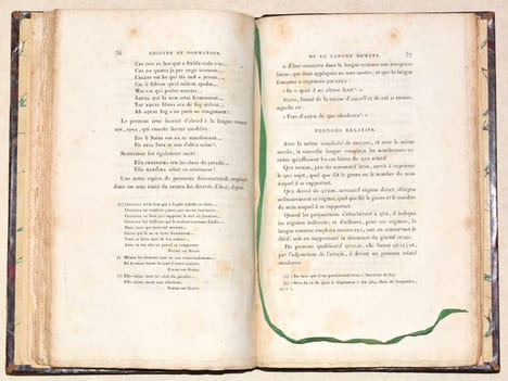 ÉLÉMENTS DE LA GRAMMAIRE DE LA LANGUE ROMANE, avant l'an 1000, précédés de recherches sur l'origine et la formation de cette langue.. RAYNOUARD ...