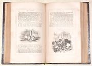 L'INGÉNIEUX HIDALGO DON QUICHOTTE DE LA MANCHE. Traduit et annoté par Louis Viardot, vignettes de Tony Johannot. [2 volumes]. par CERVANTÈS (Miguel de). - Image 2