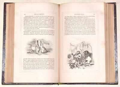 L'INGÉNIEUX HIDALGO DON QUICHOTTE DE LA MANCHE. Traduit et annoté par Louis Viardot, vignettes de Tony Johannot. [2 volumes].