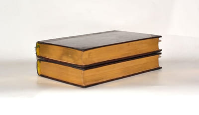 L'INGÉNIEUX HIDALGO DON QUICHOTTE DE LA MANCHE. Traduit et annoté par Louis Viardot, vignettes de Tony Johannot. [2 volumes].