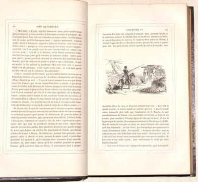 L'INGÉNIEUX HIDALGO DON QUICHOTTE DE LA MANCHE. Traduit et annoté par Louis Viardot, vignettes de Tony Johannot. [2 volumes].. CERVANTÈS (Miguel de).