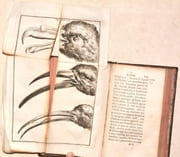 NOUVEAU VOYAGE FAIT AU PÉROU. Auquel on a joint une Description des anciennes Mines d'Espagne, traduit de l'Espagnol d'Alonso-Carillo-Lazo. par COURTE DE LA BLANCHARDIÈRE (Abbé René). - Image 3