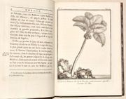 VOYAGE À LA NOUVELLE-GUINÉE, dans lequel on trouve la description des Lieux, des Observations physiques & morales, & des détails relatifs à l'Histoire Naturelle dans le Regne Animal & le Regne Végétal.  par SONNERAT (Pierre).  - Image 5