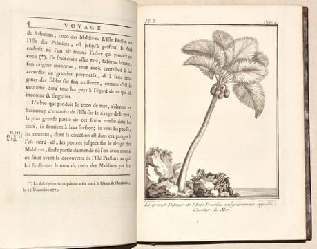 VOYAGE À LA NOUVELLE-GUINÉE, dans lequel on trouve la description des Lieux, des Observations physiques & morales, & des détails relatifs à l'Histoire ...