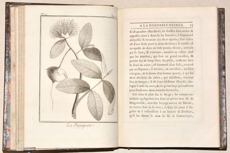 VOYAGE À LA NOUVELLE-GUINÉE, dans lequel on trouve la description des Lieux, des Observations physiques & morales, & des détails relatifs à l'Histoire ...