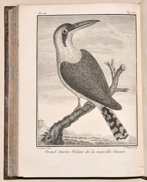 VOYAGE À LA NOUVELLE-GUINÉE, dans lequel on trouve la description des Lieux, des Observations physiques & morales, & des détails relatifs à l'Histoire ...