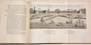 VOYAGE À LA NOUVELLE-GUINÉE, dans lequel on trouve la description des Lieux, des Observations physiques & morales, & des détails relatifs à l'Histoire Naturelle dans le Regne Animal & le Regne Végétal.  par SONNERAT (Pierre).  - Image 9