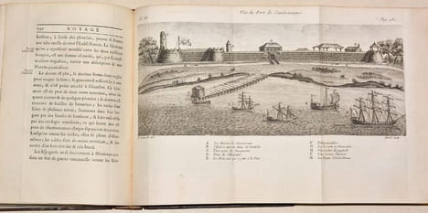 VOYAGE À LA NOUVELLE-GUINÉE, dans lequel on trouve la description des Lieux, des Observations physiques & morales, & des détails relatifs à l'Histoire ...
