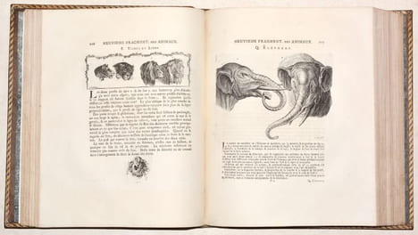 ESSAI SUR LA PHYSIOGNOMONIE, destiné à faire Connoître l'Homme & à le faire Aimer. [4 volumes].. LAVATER (Johann Kaspar).