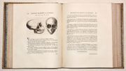 ESSAI SUR LA PHYSIOGNOMONIE, destiné à faire Connoître l'Homme & à le faire Aimer. [4 volumes]. par LAVATER (Johann Kaspar). - Image 9