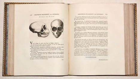 ESSAI SUR LA PHYSIOGNOMONIE, destiné à faire Connoître l'Homme & à le faire Aimer. [4 volumes].. LAVATER (Johann Kaspar).