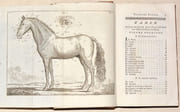 GUIDE DU MARÉCHAL, ouvrage contenant une Connoissance exacte du Cheval, & la manière de distinguer & de guérir ses Maladies. Ensemble un Traité de la ferrure qui lui est convenable. par LAFOSSE (Philippe-Etienne). - Image 4