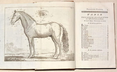 GUIDE DU MARÉCHAL, ouvrage contenant une Connoissance exacte du Cheval, & la manière de distinguer & de guérir ses Maladies. Ensemble un Traité de la ferrure qui lui est convenable.