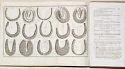 GUIDE DU MARÉCHAL, ouvrage contenant une Connoissance exacte du Cheval, & la manière de distinguer & de guérir ses Maladies. Ensemble un Traité de la ferrure qui lui est convenable. par LAFOSSE (Philippe-Etienne). - Image 5