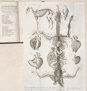 GUIDE DU MARÉCHAL, ouvrage contenant une Connoissance exacte du Cheval, & la manière de distinguer & de guérir ses Maladies. Ensemble un Traité de la ferrure qui lui est convenable. par LAFOSSE (Philippe-Etienne). - Image 7