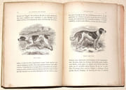 LE GIBIER À PLUME. LES OISEAUX DE CHASSE. Description. Moeurs - Acclimatation - Chasse. par CHERVILLE (Gaspard-Georges-Pescow, marquis  de). - Image 9